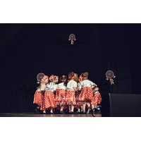 galaokDSC 1260
